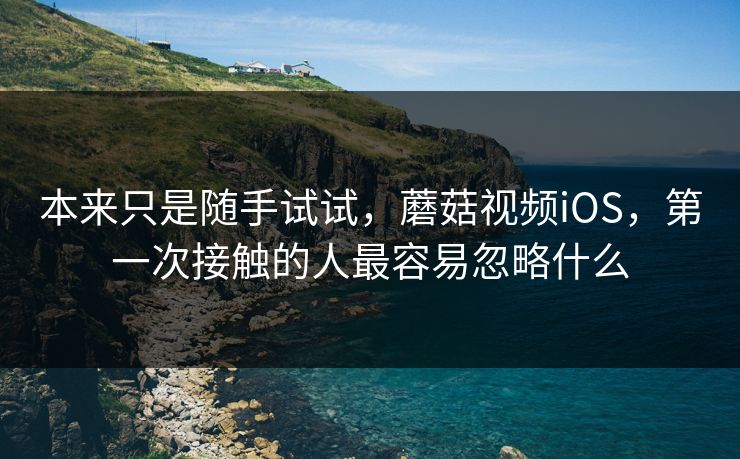本来只是随手试试,蘑菇视频iOS,第一次接触的人最容易忽略什么 本来只是随手试试,蘑菇视频iOS,第一次接触的人最容易忽略什么